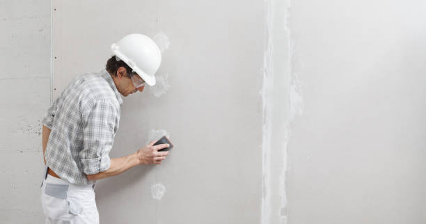 Best Post-Construction Mold Inspection  in Daingerfield, TX